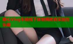 糖心Vlog车模线下体验揭秘真实操控乐趣