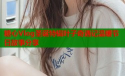 糖心Vlog圣诞特辑叶子奇遇记温暖节日故事分享
