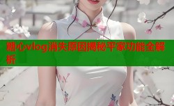 糖心vlog消失原因揭秘平家功能全解析